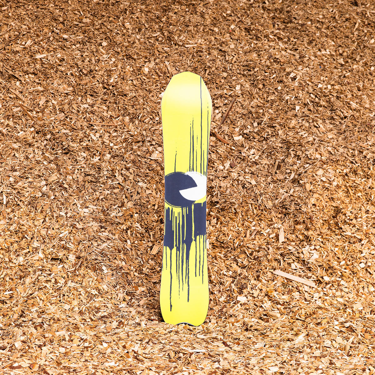 Slash by GiGi - Vertical Snowboard - ApARTment