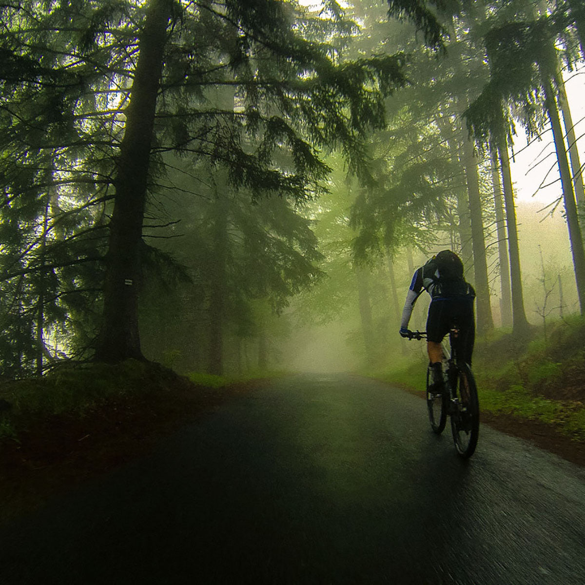 TSG - All Terrain Helmet